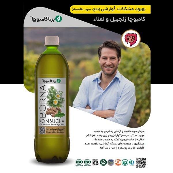 کامبوچا زنجبیل و نعناع یک لیتری (معده و گوارش)