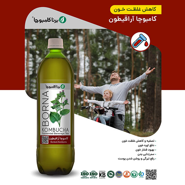 کامبوچا اراقیطون یک لیتری کاهش غلظت خون برنا کامبوچا اراقیطون یک لیتری کاهش غلظت خون برنا