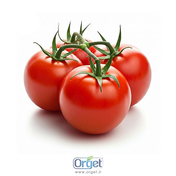 گوجه فرنگی ارگانیک آبگینه گوجه فرنگی ارگانیک آبگینه