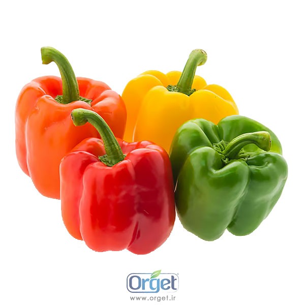 فلفل دلمه ارگانیک آبگینه فلفل دلمه ارگانیک آبگینه