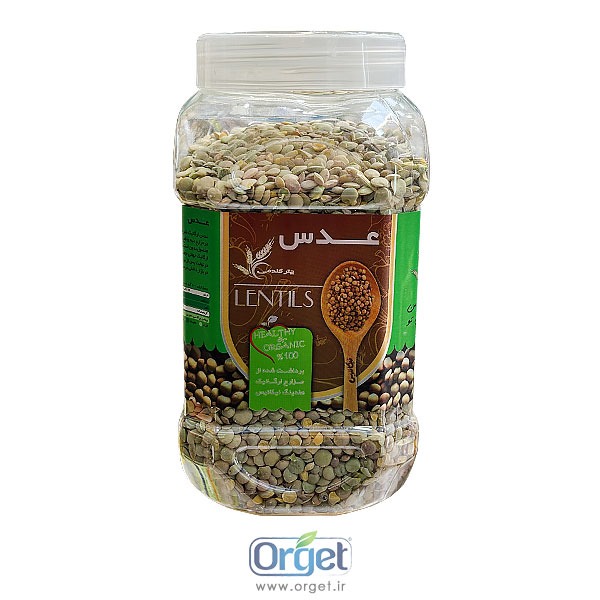 عدس 900 گرمی چتر گندمی 