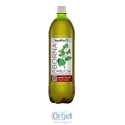 کامبوچا اراقیطون یک لیتری کاهش غلظت خون برنا